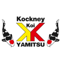 Kockney Koi Yamitsu